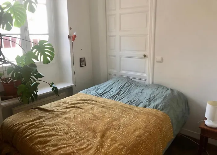 Charming Saint Germain Saint Michel Apartment Paris